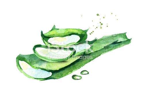 Heilen Biopharm Aloe Vera Leaf Powder For Skin & Hair Improvement - 400 gram Pack of 1 6