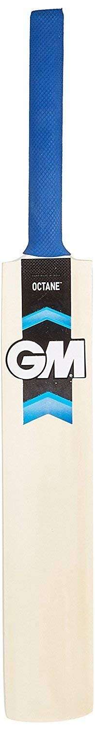 DFS Sports Full Size Popular Willow Cricket 1