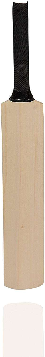 KN Sports Popular Willow Cricket Bat Full Size/Grade KN65 1