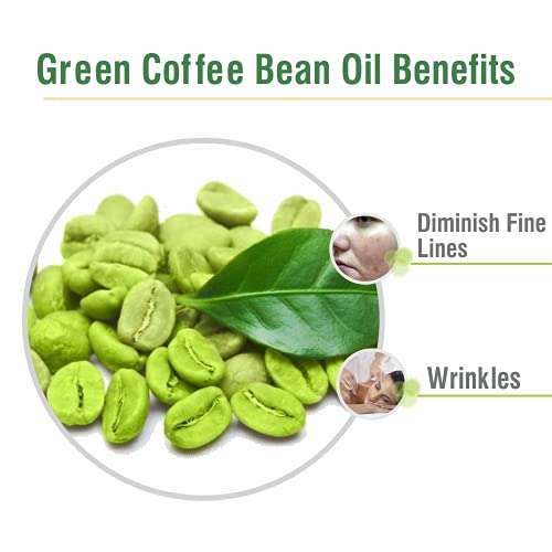 Crysalis Green Coffee Bean (Coffea Arabica.) | Pure & Natural Undiluted Cold Pressed Oil Organic | Skin Care, Hair Care, Energise The Atmosphere-100Ml/ External Use Only 100ml 4