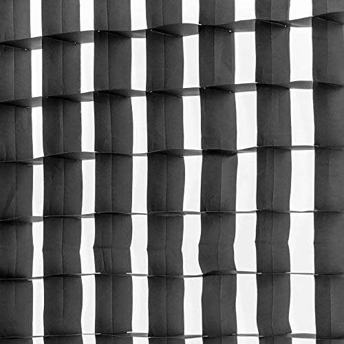 Westcott 40-Degree Egg Crate Grid for 10"x24" Rapid Box Strip & 1x2 Switch 1