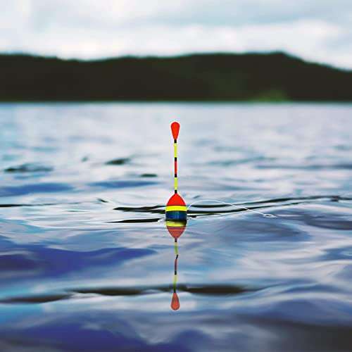 Proximitck 12 Pcs Fishing Floats Fishing Bobbers Balsa Cork Wood Floats Oval Stick Floats Slip Bobbers for Fishing Tackle Accessories for Trout Bass Fishing 5