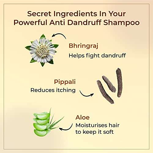 Vedix Ayurvedic Shampoo | Taritha Hair Fall Shampoo for Normal-Oily Hair With Dandruff Care | Reduces Hair Fall and dandruff |100ml 2