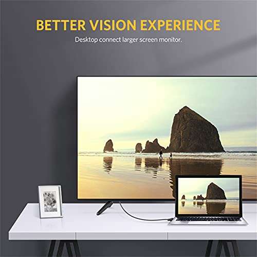 UGREEN 1.5 m DVI to VGA Cable DVI-I 24 + 5 Male to 15 Pin VGA Male Converter Adapter Cable with Gold Plated Highly Pure Copper Conductors, Support 1080P for Gaming, DVD, Laptop, and Projector 4