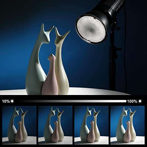 Godox SK400II Strobe Flash Light 400Ws with Standard Reflector, GN65 5600K 2.4G Studio Photo Strobe Monolight Light for Studio Shooting with 150W Modeling Lamp(Bowens Mount) 4