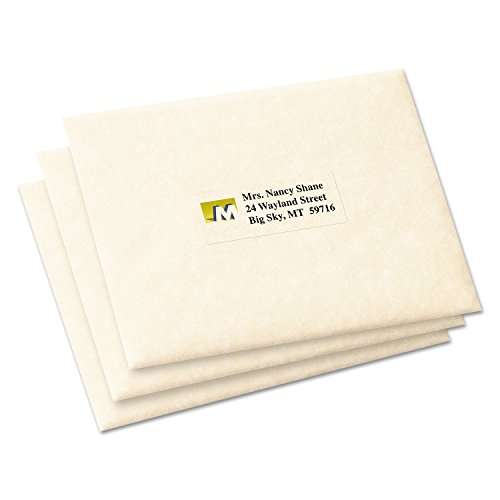 Avery 18660 Clear Mailing Labels 300 Count 2