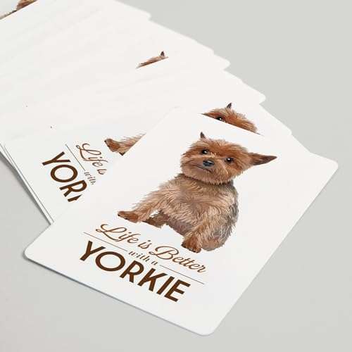 Lantern Press Yorkie, Life is Better, White Background (52 Playing Cards, Poker Size Card Deck with Jokers) 5