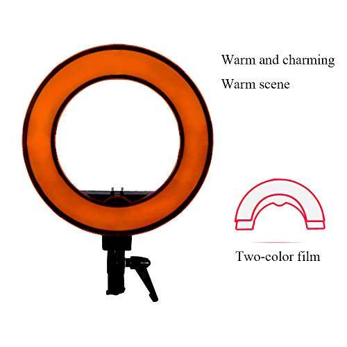 JION 14-Inch Self-Timer Ring Light with Tripod Stand and Phone Holder for Live/Makeup/Photography Mini Led Camera Ring Light Compatible with iPhone Android 4