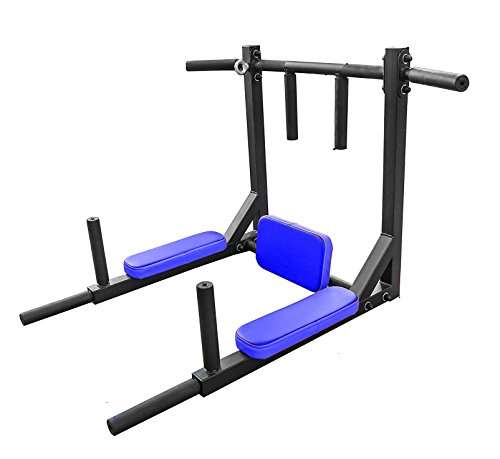 Dolphy Dips Bar, Pull Up Bar and Push Up Bar Wall Removable Model 1