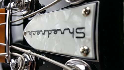 Shredneck Bassneck Billy Sheehan Signature Model - Black 4