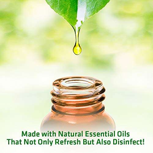 Herbal Strategi – NatureSpray Rose|Room Freshener |Rose Aromatic Fragrance | Disinfectant | Completely Herbal |Eco-friendly & Biodegradable| Made With Natural Essential Oils| Irritant-Free, Chemical-Free |Baby-Safe, Skin-Safe, Pet-Safe |250mL 5