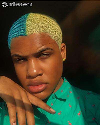 ARCTIC FOX Vegan and Cruelty-Free Semi-Permanent Hair Color Dye (8 Fl Oz, PORANGE) 6