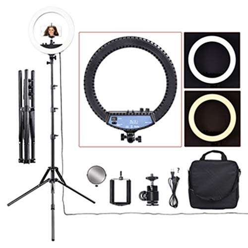 LBBL Ring Light Tripod, with Mirror 14 LED Fill Light Adjustable Color Temperature with Phone Holder for Makeup Selfie Photography Live Streaming (Color : White) 1