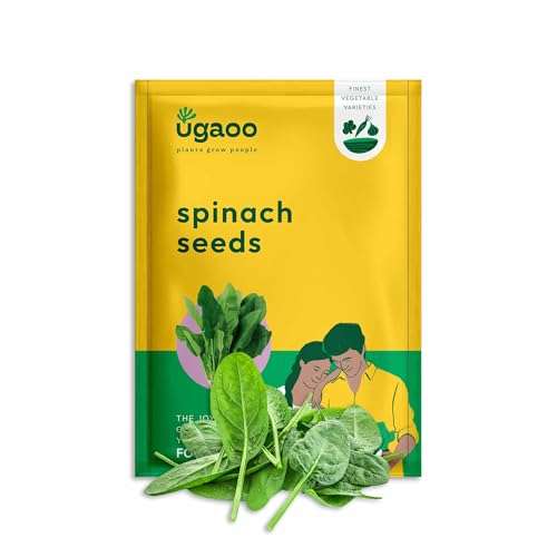 UGAOO Palak or Spinach Vegetable Seeds (Green, Pack of 16 g) -1700 Seeds 1