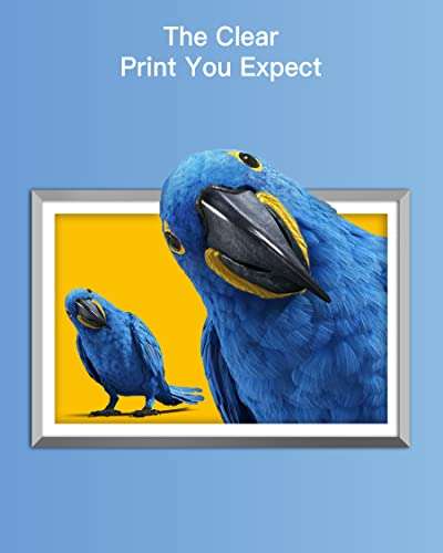 GPC Image Compatible 564XL Ink Cartridge HP Printers Replacement for HP 564XL 564 XL Ink Cartridge Combo Pack Compatible with Photosmart 7510 7515 7520 7525 C309a Printer (6 Pack with Photo Black) 6