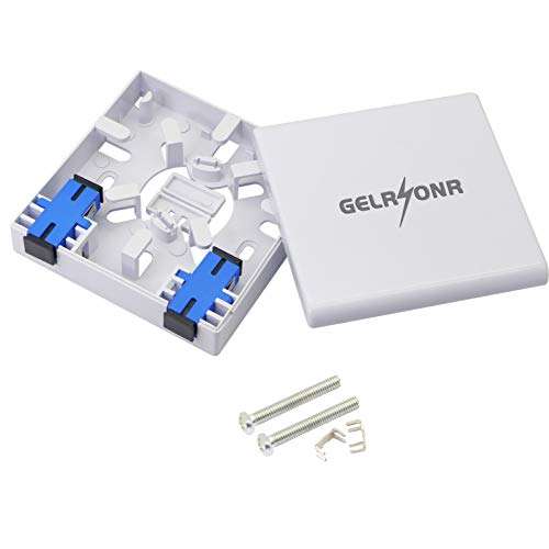 GELRHONR FTTH Fiber Panel Box Enclosure, 2 Core Fiber Optic Terminal Distribution Junction Box Double-Port SC/UPC Type Panel Box ABS Plastic Outdoor Waterproof Dustproof DIY Case