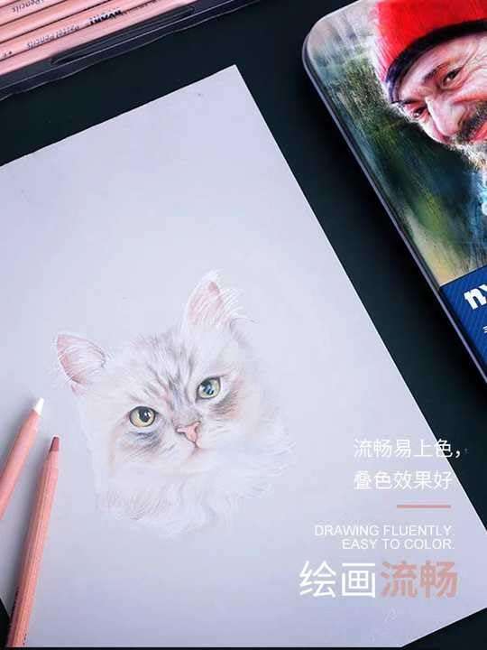 RUJVE Skin Tone Colored Pencils for Portraits and Skintone Artists, 24 Colors Oil Colour Pencils for Drawing, Sketching, Adult Coloring, Shading, Coloring, Layering & Blending (Nyoni-B) 4