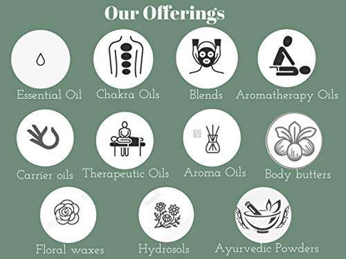 Deve Herbes Pure Onion Seed Oil (Allium cepa) Cold Pressed 10ml (0.33 oz) 6