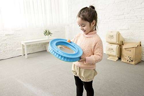 Weplay Rolling 4 Fun Toy 5