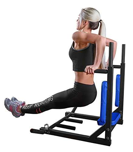 Dolphy Dips Bar, Pull Up Bar and Push Up Bar Wall Removable Model 2
