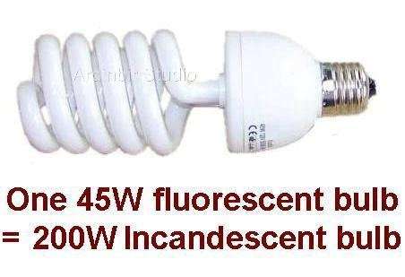 Ardinbir Studio 1200w 5500K Daylight Continuous Cool Fluorescent Video Lighting Kit with Portable Collapsable Easy Open 20"x28" Softbox Diffuser and Light Stand 4