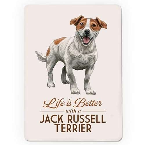 Lantern Press Jack Russell Terrier, Life is Better, White Background (52 Playing Cards, Poker Size Card Deck with Jokers) 3