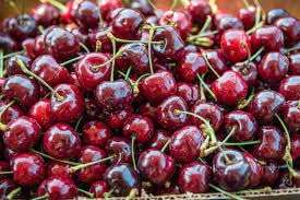 GREEN VOLCANO "Sonata Cherry"Grafted/Clone type hybrid - 1 Healthy Live Super Yielding Early Fruting Sonata Cherry Fruit Plant' 1-1.5 Ft Height in Nursery Grow Bag for Home Garden 3