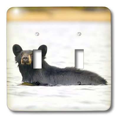 3dRose lsp_70175_2 " British Columbia, Bowron Lakes Park, Black bear-CN02 GLU0069-Gary Luhm Double Toggle Switch 3