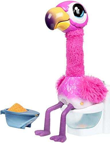 Gotta go Flamingo! Feed Sherbert Magic Food and When he Sings he has Gotta go Toilet! He Repeats What You say Also! You Won't be able to Stop Laughing & Singing Along. 4
