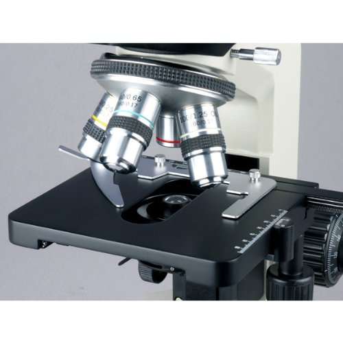 AmScope B490B Compound Binocular Microscope, WF10x and WF20x Eyepieces, 40X-2000X Magnification, Brightfield, Halogen Illumination, Abbe Condenser, Double-Layer Mechanical Stage, Sliding Head, High-Resolution Optics, Anti-Mold , White 5
