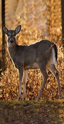 iPhone 7 Case, iPhone 8 Case, BWOOLL Slim Anti-Scratch Flexible Shock Absorbent Silicone Protective Case Cover for iPhone 7 Case/iPhone 8 (4.7 inch) - Deer with American Flag 1