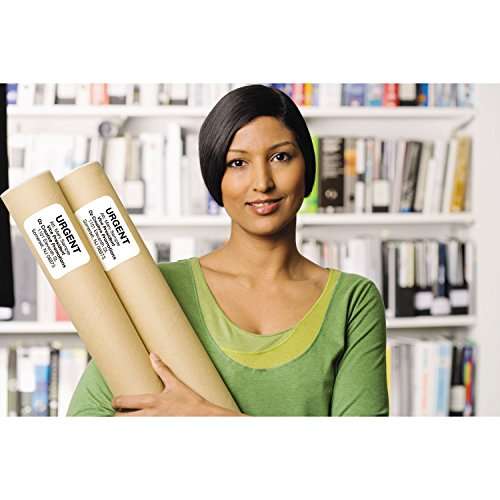 Brother QL-810W Professional Label Printer with USB and WIFI connectivity, Ultra-Fast printing up to 110 labels per minute with Standard Address label in Monochrome, Black & Red Printing Available 6