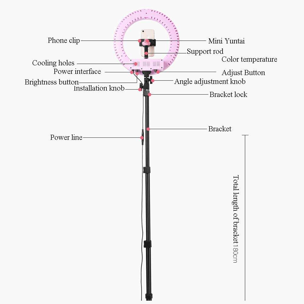 JION 14-Inch Self-Timer Ring Light with Tripod Stand and Phone Holder for Live/Makeup, Mini Led Camera Ring Light for YouTube Video/Photography Compatible with iPhone Xs Max Xr Android 2