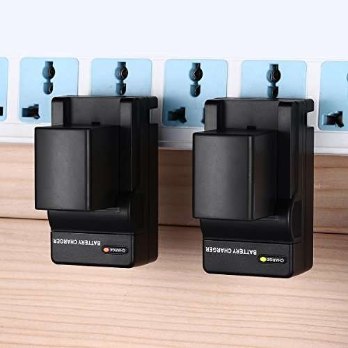 Powerextra 2 Pack Replacemet BP-819 Battery and Charger for VIXIA HF10, HF11, HF20, HF21, HF100, HF200, HF G10, HF M30, HF M31, HF M32, HF M40, HF M41, HF M300, HF M400 5