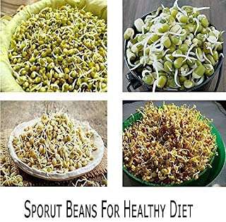 JAYI Jay Plastic Hygienic Sprout Maker with 4 Container Box Unbreakable. 4