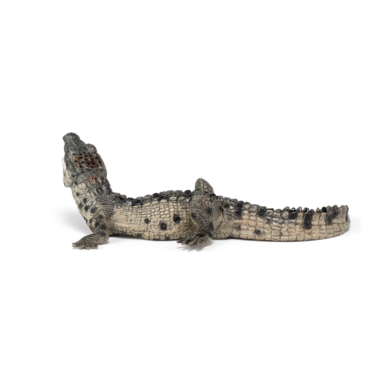 Papo Baby Crocodile Figure, Multicolor 6