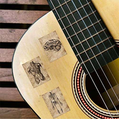 Meet Holiday Human Skeleton Anatomy Stickers, 56 Pcs, Vinyl, Waterproof, for Teachers, Wall, Furniture, Door, Gifts 4