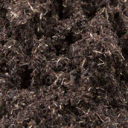 Cow Dung CD189CD- 2.5