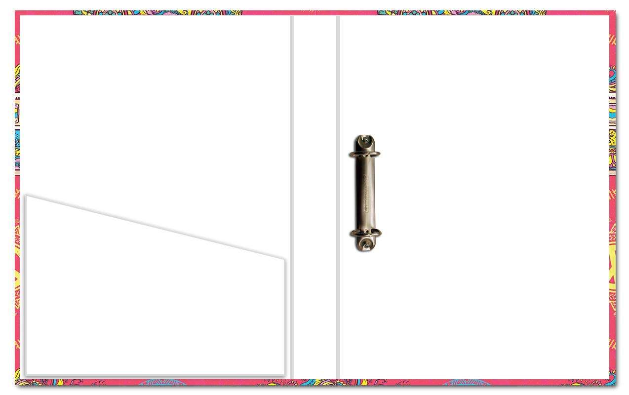 Paper Plane Design 2D Folder Case, A4 Size, Ring Binder File Folder, Can Use in Office/Hospital/Banking/Account/School Documents, Bills & Certificates 2