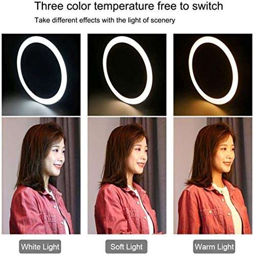 Hailiang 10" LED Ring Light with Tripod Stand Phone Holder Dimmable Desk Makeup Ring Light for Live Streaming YouTube Instagram Video Photography 3