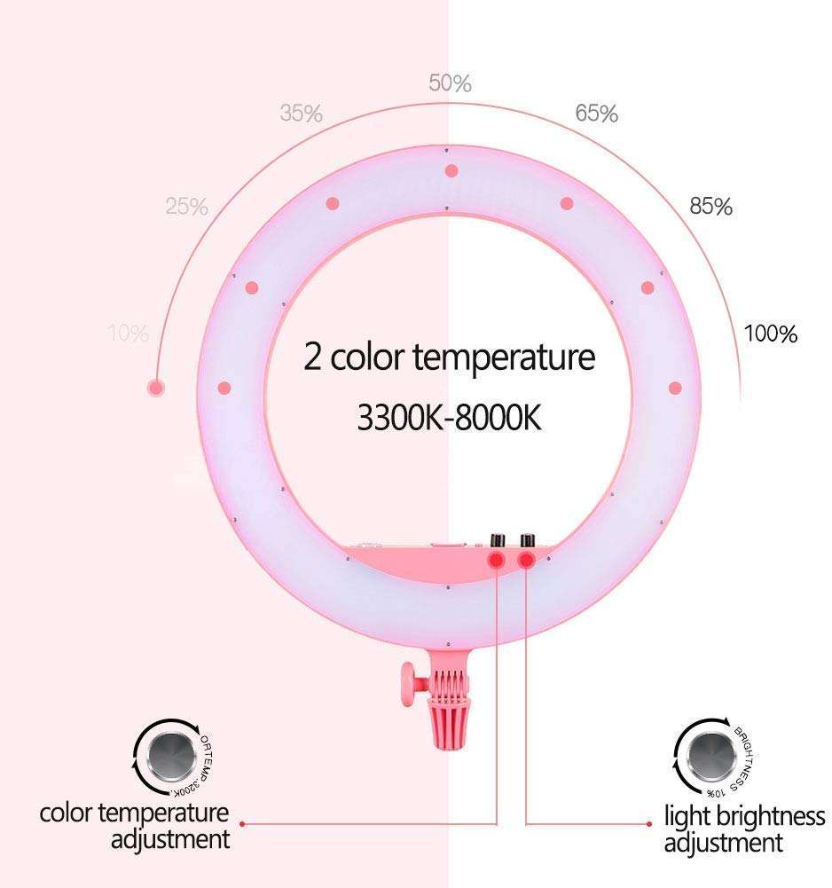 GODOX LR160 Ring Lamp Light Dimmable Continuous Lighting Kit for Make Up, Smartphone, YouTube, Live, Vine Self-Portrait Video Shooting 18W 3300K-8000K Color Temperature (Pink) 2