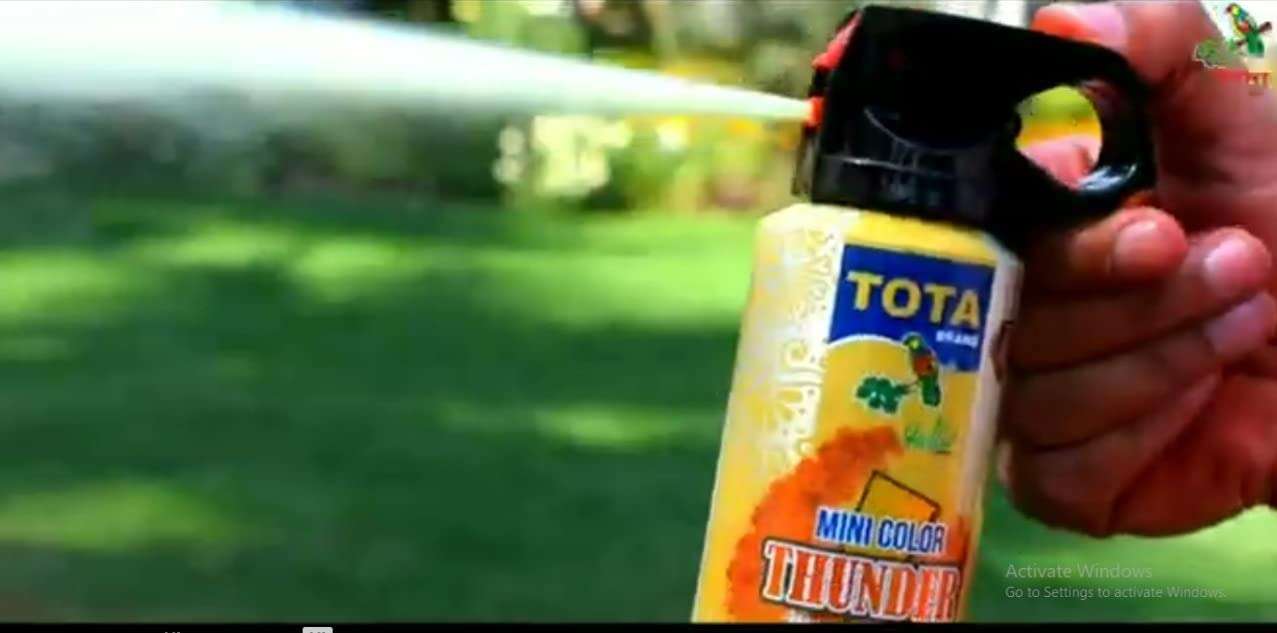 Holi Gulal Spray Mini Thunder Pack of 4 – 150 ml Each – Natural Herbal Colour Cloud Spray for Festivals & Parties Tota Mini Thunder Holi Herbal Gulal (Pack of 2) 4