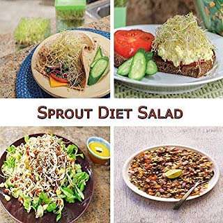 JAYI Jay Plastic Hygienic Sprout Maker with 4 Container Box Unbreakable. 3