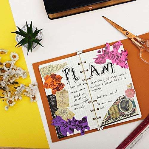 Phomemo M02S Pocket Printer- Bluetooth Thermal Photo Printer with 3 Rolls Colorful Sticker Paper, Compatible with iOS + Android for Plan Journal, Study Notes, Art Creation, Work, Gift 5