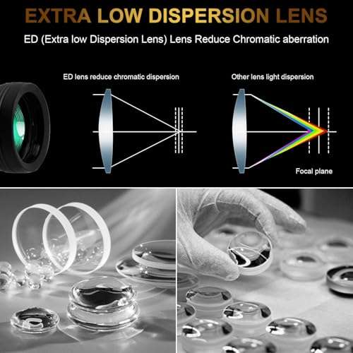 ETZIN Binoculars for Adults - 20x50 Roof Prism Binoculars with Smartphone Adapter Carry Case - BAK4 Prism FMC Lens with Low Light Vision - HD Powerful Boculars for Bird Watching, Hunting, Wildlife. 4