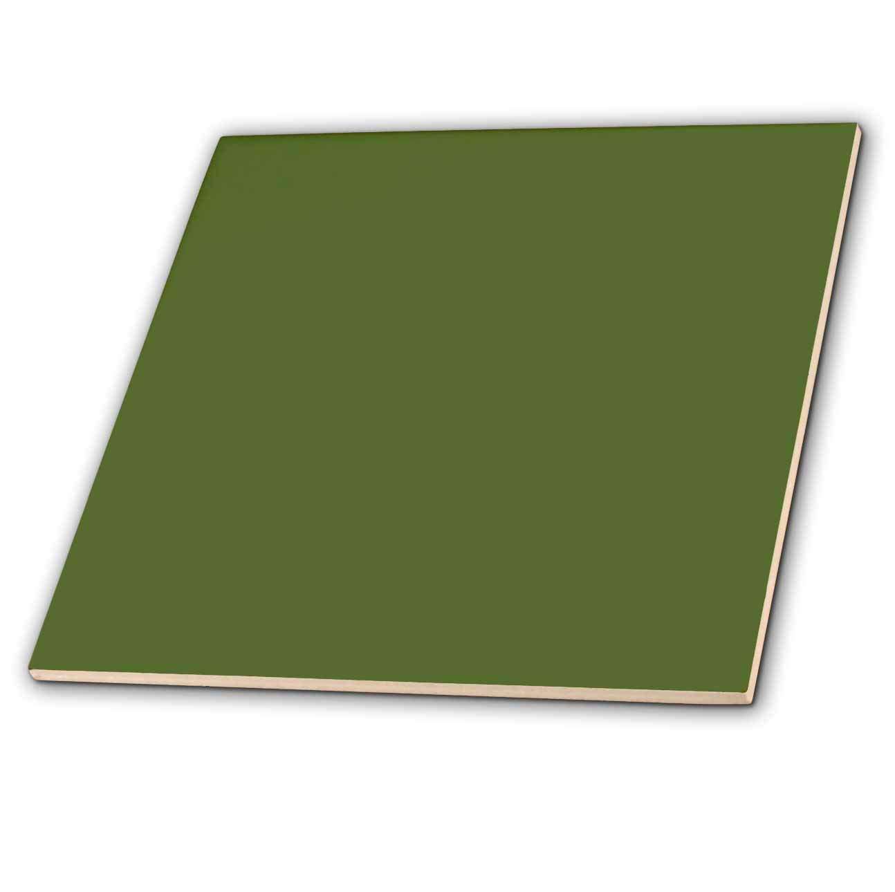 3dRose Ceramic Tile - Color Dark Olive Green (ct_284783_3)
