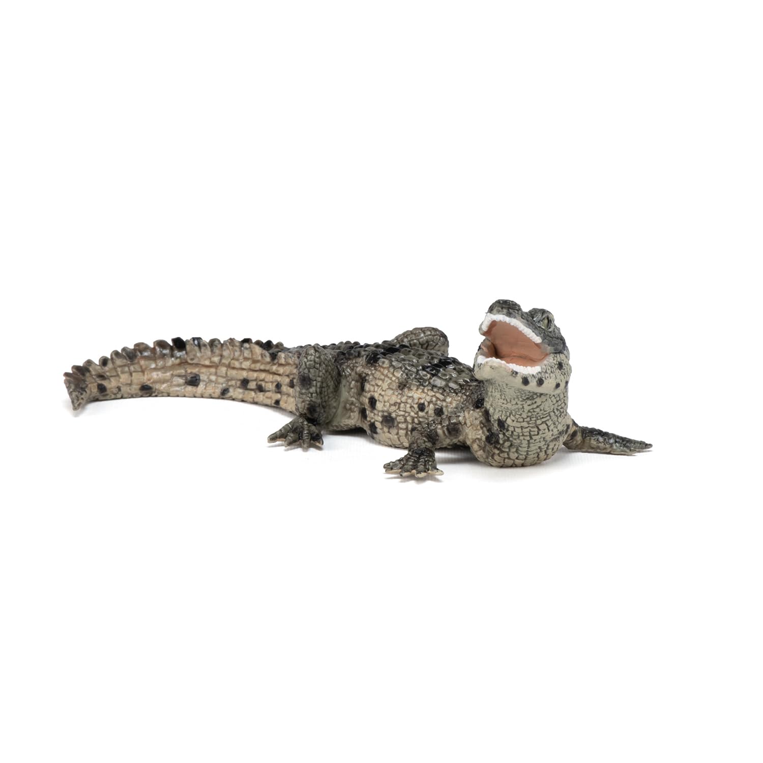 Papo Baby Crocodile Figure, Multicolor 3