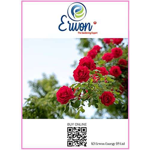 Erwon® Rose Potting Mix, Premium Essential Powerful Organic Soil with Plant Growth and Flower Booster, Charged Micro-Organism and ++ Micronutrients (900 gm) 4