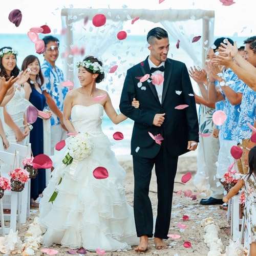 400 PCS Silk Rose Petals Burgundy Red Flower Petals for Romantic Night, Weddings Aisle Centerpieces, Table, Party, Home Decoration, Romantic Night Decoration,Valentine's Day Decoration 5