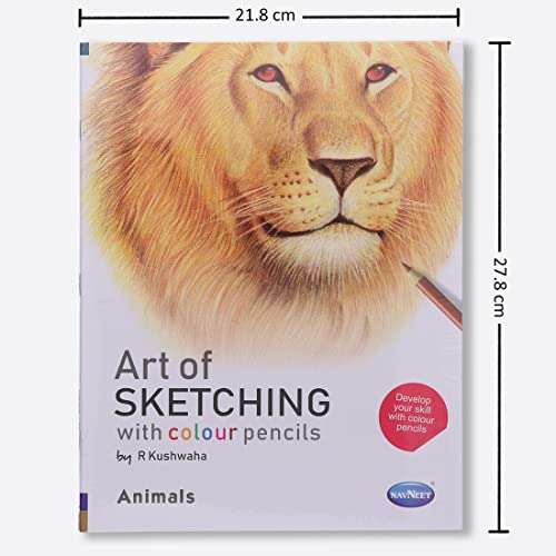 Navneet Art Of Sketching Book 4